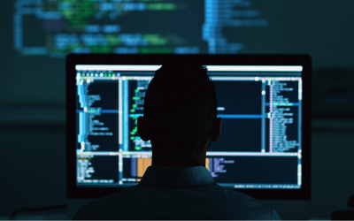 Programming Fundamentals (Python) (CS 101-B)